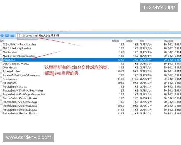 深入了解尊龙app网站的奖金政策与返水机制